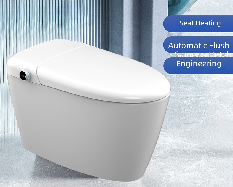 Heated Smart Toilet Seat, Auto - Home In Bathroom review and price
