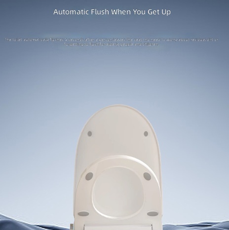 Heated Smart Toilet Seat, Auto - Home In Bathroom review and price